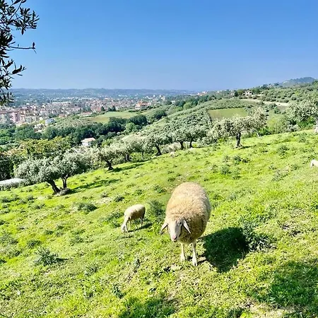 Apartment Mirabel Chieti